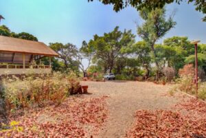 Property Image (19)
