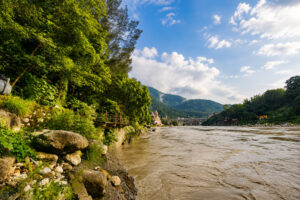 Property Image (27)